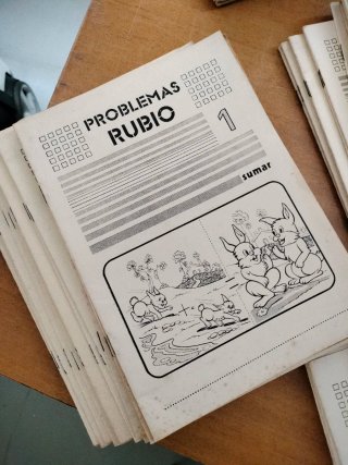 Lote cuadernillos rubio problemas