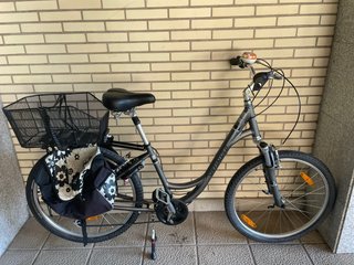 Bicicleta Paseo Specialized Expedition Chica