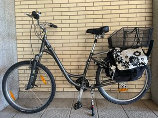 Bicicleta Paseo Specialized Expedition Chica