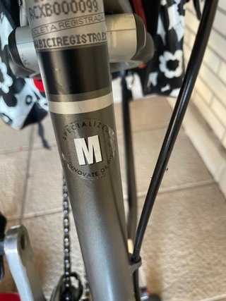 Bicicleta Paseo Specialized Expedition Chica
