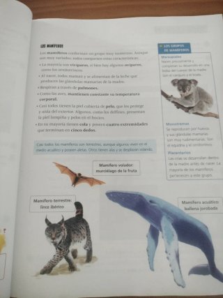 Ciencias de la Naturaleza 3 Primaria Edelvives
