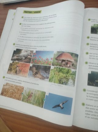 Ciencias de la Naturaleza 3 Primaria Edelvives