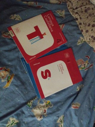 Lengua castellana, 4 Primaria Saber Hacer Conti...