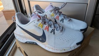 Nike Pegasus Trail 5 Zapatillas Multiclor