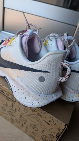 Nike Pegasus Trail 5 Zapatillas Multiclor