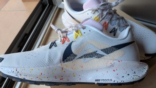 Nike Pegasus Trail 5 Zapatillas Multiclor