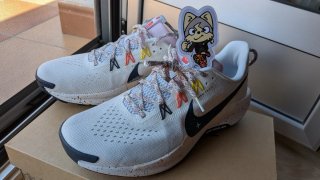 Nike Pegasus Trail 5 Zapatillas Multiclor