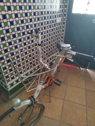 Bicicleta BH Vintage Naranja
