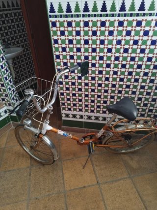 Bicicleta BH Vintage Naranja