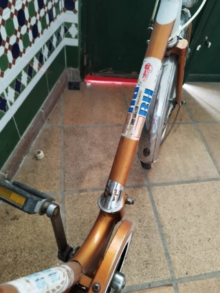 Bicicleta BH Vintage Naranja