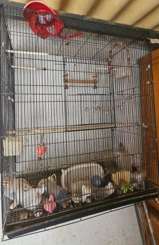 Jaula para pájaros negra con accesorios