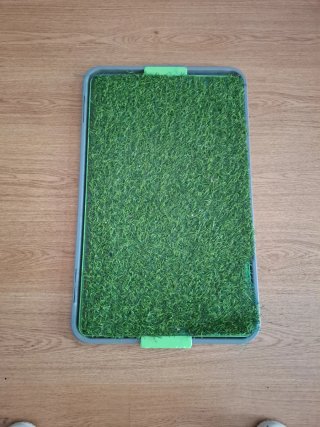 Pipican para perros