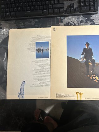 Vinilo Pink Floyd Wish You Were Here