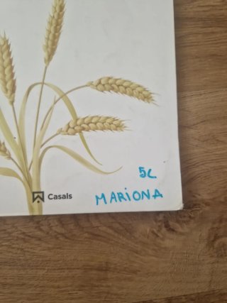 Religió catòlica 5 PRIM Polaris LOMLOE
