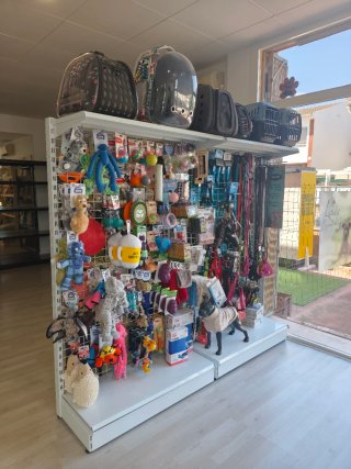 Traspaso peluqueria canina y felina