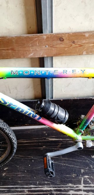 BICICLETA SPRINT