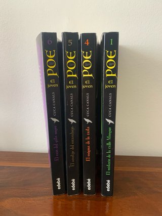 El Joven Poe libros lote