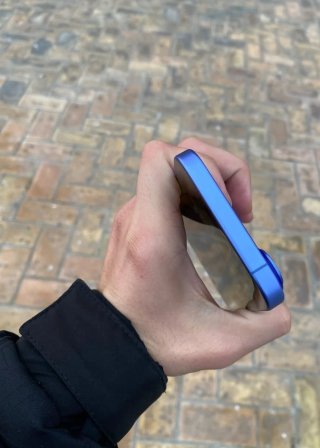 iPhone 16 Plus (100%)