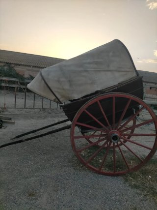 Tartana antigua de madera y tela