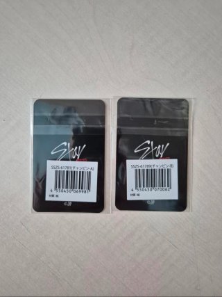 Stray kids Dwaekki & Changbin lottery pack