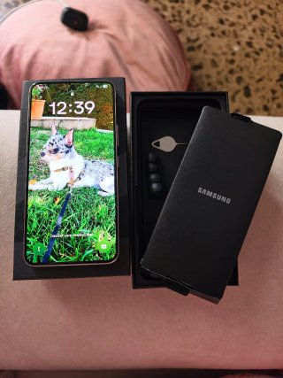 Samsung Galaxy S22