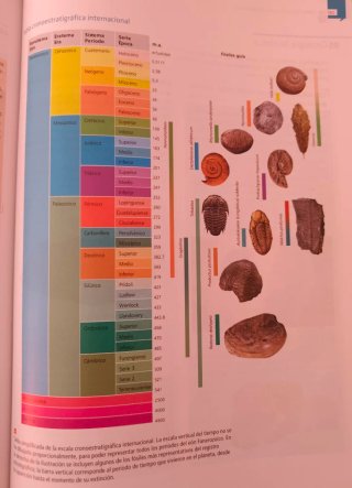 Geología ciencias : bachillerato 2