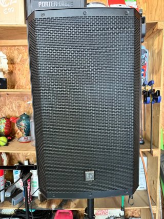 Electro-Voice EKX 15P