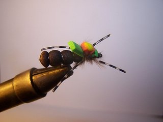 MOSCAS PARA LA PESCA DE BARBOS