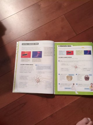 Ciencias de la Naturaleza 5 : Tercer Ciclo Prim...