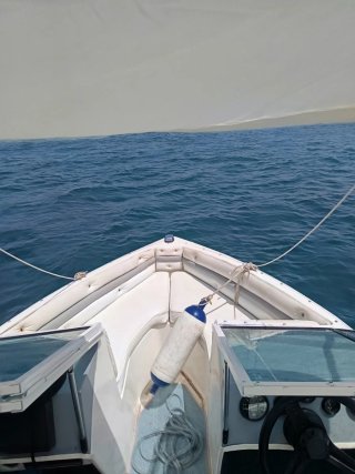 Barco Sportbas 90 2T