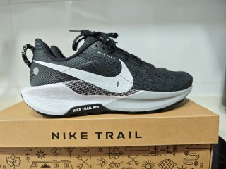 Zapatillas Nike Pegasus Trail 5