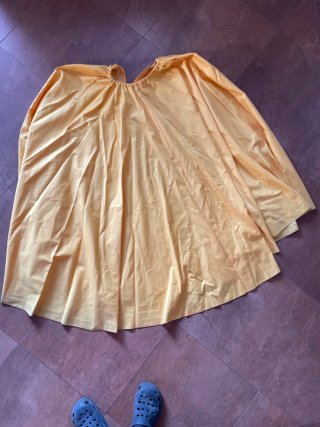 Disfraz Princesa Adulto Talla Única. Faldas 36/38