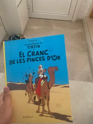 Libro de tin tin