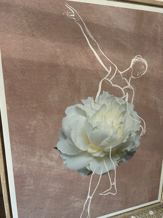 Conjunto 2 Cuadros Bailarinas Flor