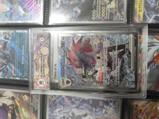 Zoroark EX di N Carta Pokémon graad 10