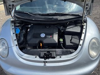 Volkswagen Beetle 2004