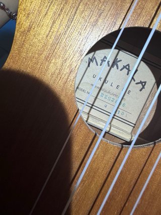 Ukelele con funda
