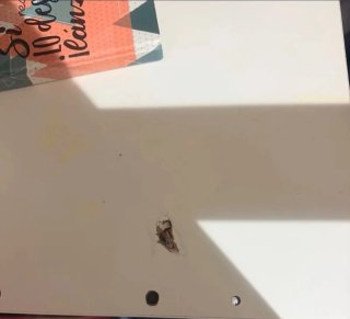 Cama alta con escritorio y armario