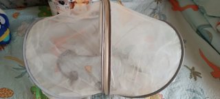 Mosquiteras para cochecito y cuna