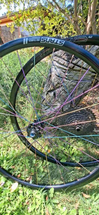 Ruedas NoTubes Grail + Radios Titanio