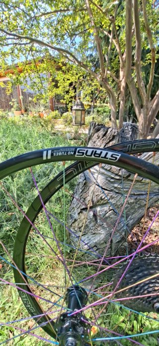 Ruedas NoTubes Grail + Radios Titanio