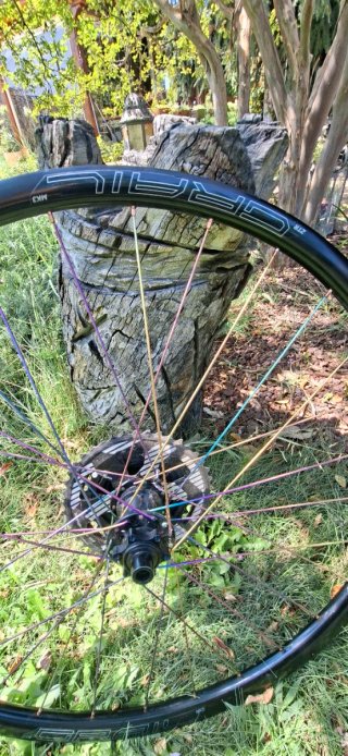 Ruedas NoTubes Grail + Radios Titanio
