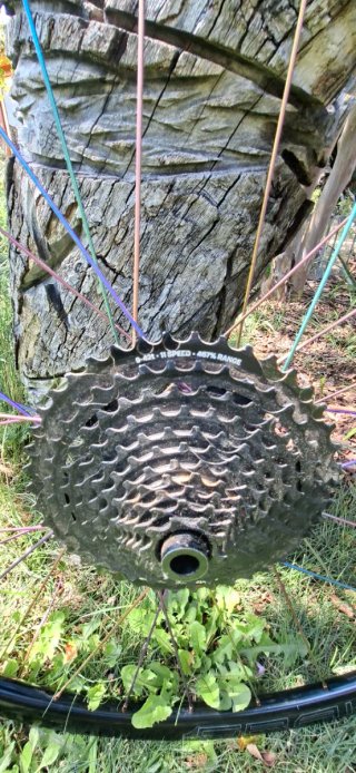 Ruedas NoTubes Grail + Radios Titanio