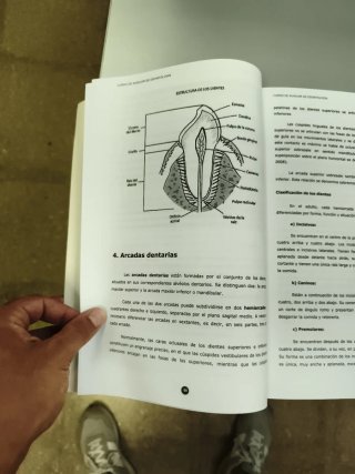 Libro auxiliar de odontología