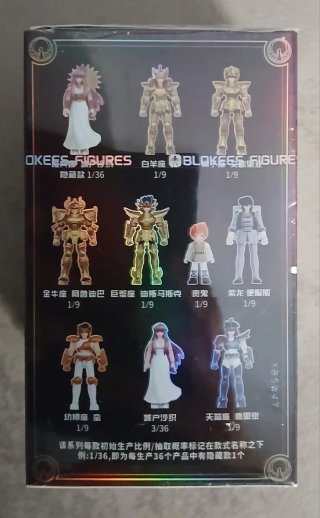 Blokees Saint Seiya Shiryu Dragon Cloth Box