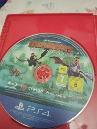 Juego PS4 Dragons: Dawn of New Riders