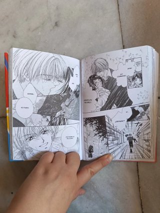 Manga, Perfect Partner