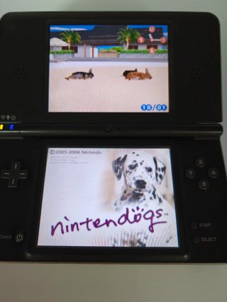 Nintendo DSi XL Nera + 2 Giochi