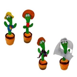 Cactus bailarín