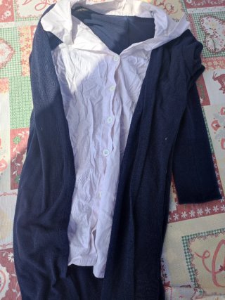 Rebeca pechera y cuello camisa blanca